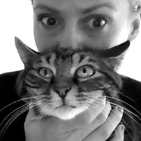 Nicolas Charpentier Github - Modern Abstract Background - 4K