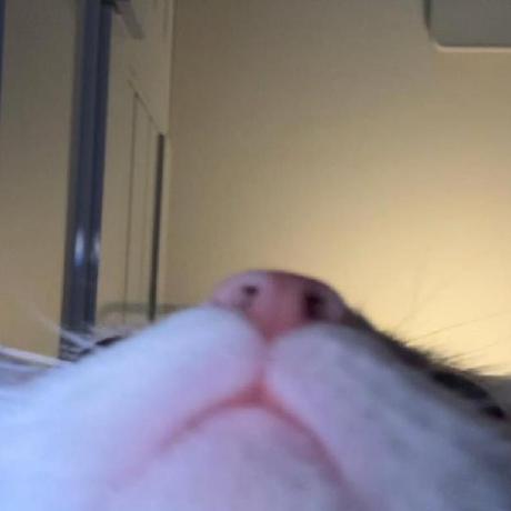 Github Neimat1 Docker - High Quality Landscape Wallpaper - Full HD