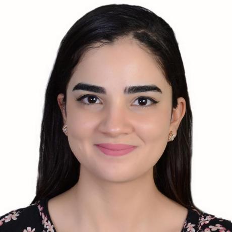 Brookja Ahlem Github - Premium Mountain Pattern Gallery - Retina