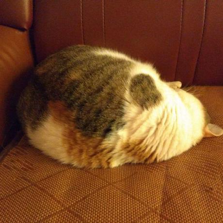 Github Ncsu Dk Lab Acc Dd - Geometric Image Collection - Desktop Quality