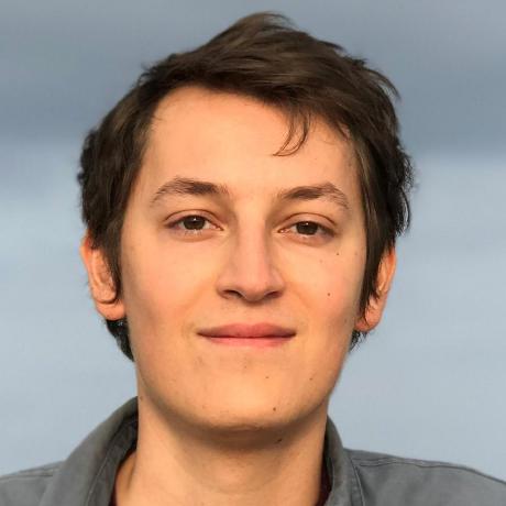 Siler Github - Professional Geometric Picture - High Resolution