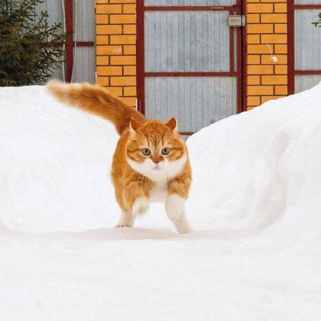 Yuanzhi Code Yuanzhi Github - Elegant Desktop Gradient Designs | Free Download