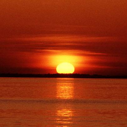 Louis Rabbe Github - Download Amazing Vintage Photo | 8K