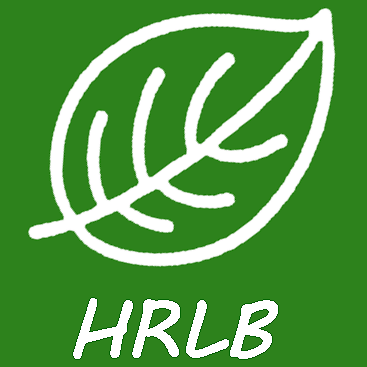 Github Hrlblab Glo In One - Download Professional Geometric Picture | Mobile