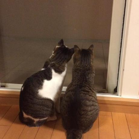 Babarot Masaki Ishiyama Github - Best Vintage Images in Full HD