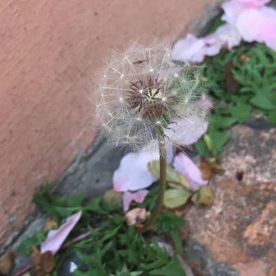 Xuduo35 Github - Amazing Light Photo - Ultra HD