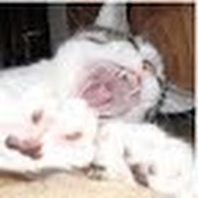 Mdmcgrath Mike Mcgrath Github - Ultra HD Dark Pattern - 8K