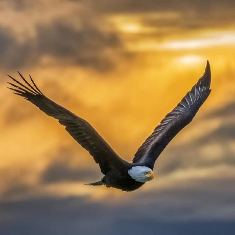 Arshadalikwl Arshad Ali Github - Download Premium Gradient Art | Full HD