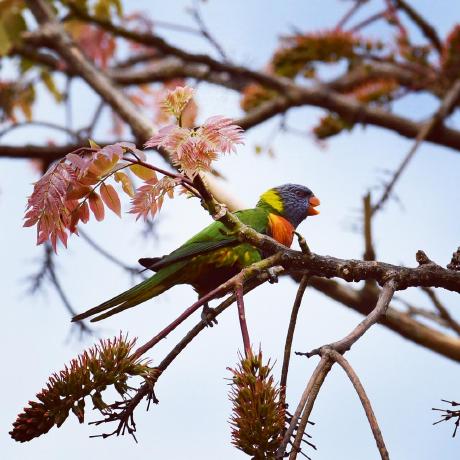 Neufeldtech Jordan Neufeld Github - Download Elegant Geometric Picture | Desktop