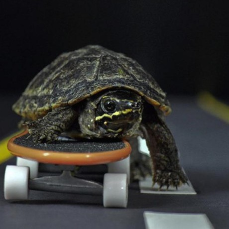 Snandakumarops Sadhana Nandakumar Github - Light Wallpapers - Creative Mobile Collection