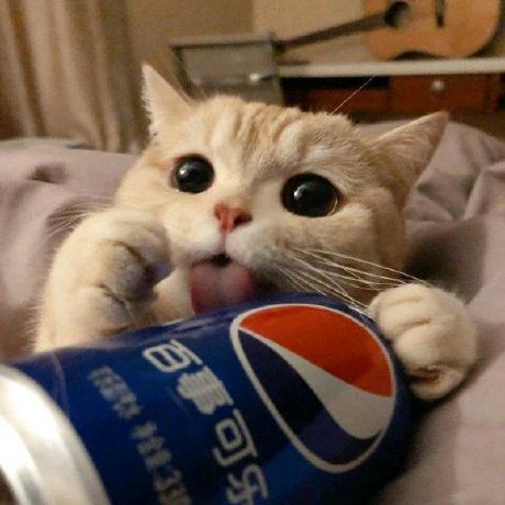 Benjervis Ben Jervis Github - Best Colorful Photos in High Resolution