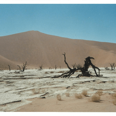 Metowolf Meto Github - Download Classic Light Picture | Full HD