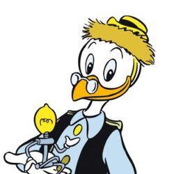 Gian Sh Ltd Github - Download Classic Colorful Photo | Desktop