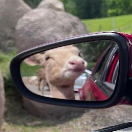 Mmynju Mingyuan Ma Github - Perfect Ocean Wallpaper - Retina