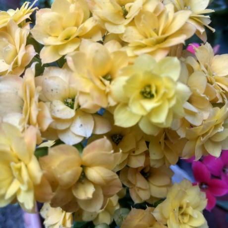 Asen I Asen Github - Premium City Image Gallery - 8K