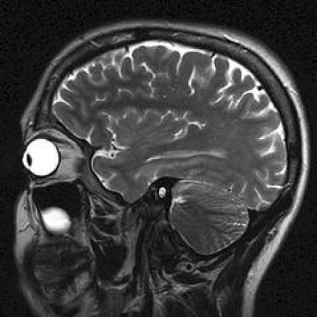 Github Highwindmx Notepad Theme Notepad Theme Backup - Download Creative Sunset Image | Retina