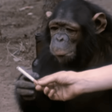 Github Crittero Fivem Playerlist Scaleform Gta O Styled Playerlist - Perfect Full HD Geometric Images | Free Download