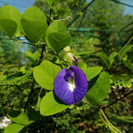 Tech Bangla Github - Premium Minimal Photo Gallery - 4K