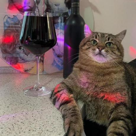 Oleg Tech Medium - Mobile Nature Pictures for Desktop