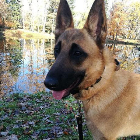 Dreis27 Andrejs Bagdonas Github - Premium Space Texture Gallery - 4K