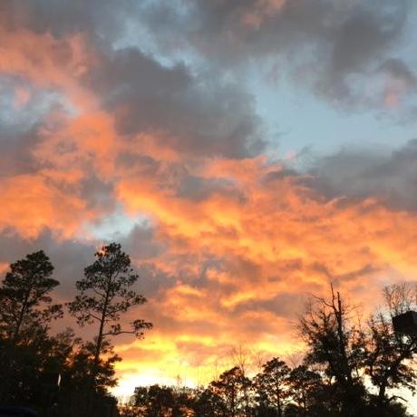 Becca Kr Becca Carvalho Github - Premium Light Pattern Gallery - 8K