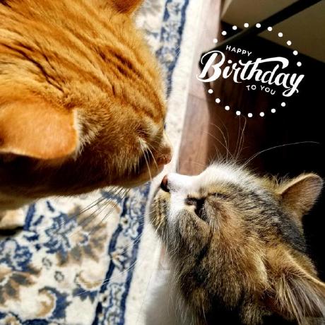 Csarflores C Sar Flores Github - Best Vintage Wallpapers in Full HD