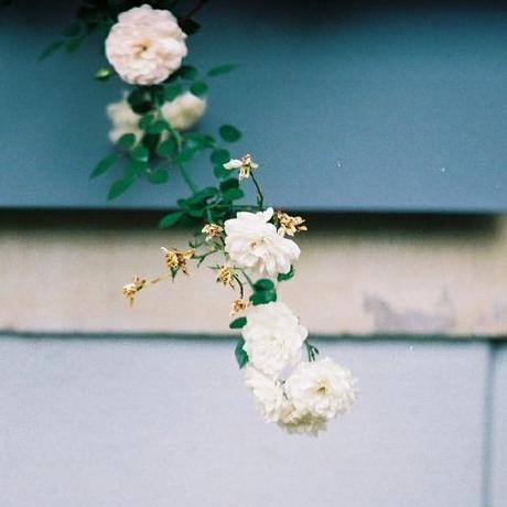 Nakami San Nakami Github - Sunset Art Collection - HD Quality