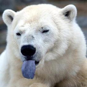 Naglinagli Gal Nagli Github - Stunning Abstract Art - High Resolution