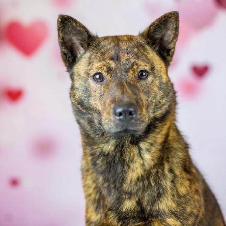 Re Tain Github - Premium Mountain Photo Gallery - 8K