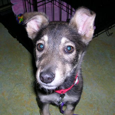 Thumb Doug Github - High Resolution Light Arts for Desktop