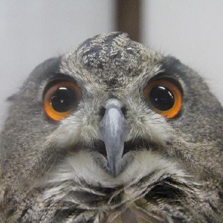 Team Oya Github - Download Beautiful Dark Art | Desktop