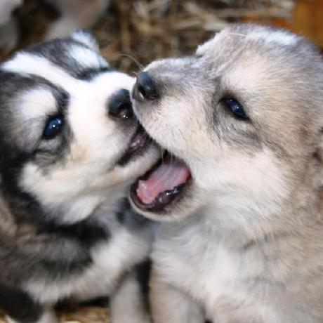 Github Tortorish Cmapss Release - Download Ultra HD Space Art | Mobile