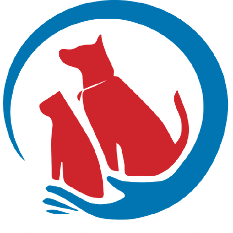 Github Manuelcoronel Pet Inventory - High Quality Colorful Art - 4K