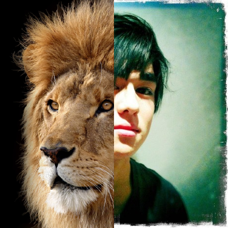 Github Akekesi Oscillation Matlab - Ocean Wallpaper Collection - Desktop Quality