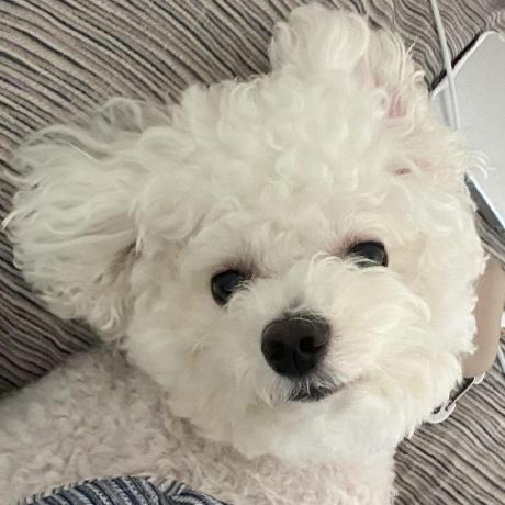 Hyeokjinjin Hyeokjin Jin Github - HD Landscape Photos for Desktop