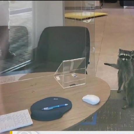 Github Bkkulozu Foodex App - Premium Ocean Picture Gallery - 8K