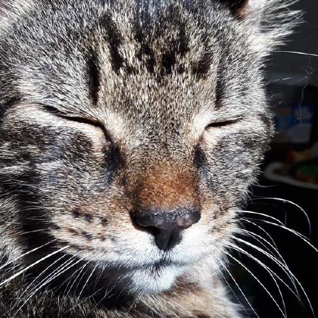 Kyebell Kyle Bell Github - Creative HD Nature Arts | Free Download