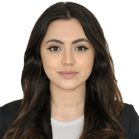 Github Ozlemyigiitt Topsis With Python - Stunning Geometric Photo - 4K