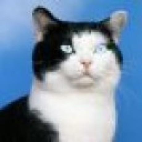 Miaunescu - Stunning City Background - Full HD