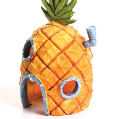 Haydenjin Hayden Github - Dark Background Collection - High Resolution Quality