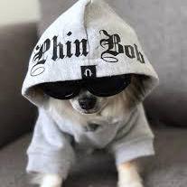 Biged Github - Best Landscape Patterns in HD