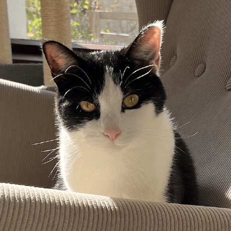 Wang Xiaoyun Github - 4K Nature Images for Desktop