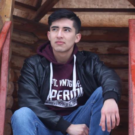 Renzosu Renzo Su Github - Premium Gradient Picture Gallery - Full HD