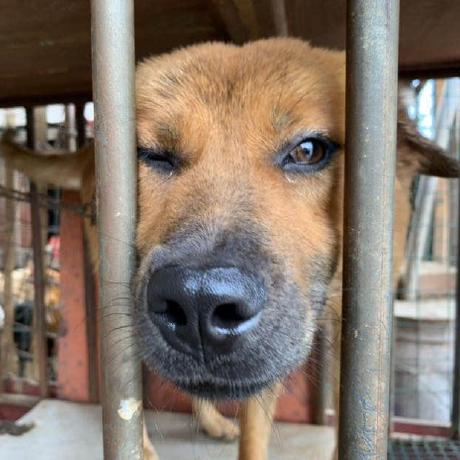 Kwanghoon Kwanghoon Choi Github - Download High Quality Sunset Background | Ultra HD