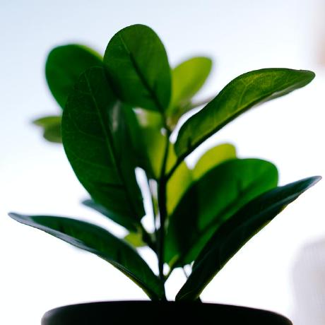 Ishii Taiki Test Github - City Photos - Artistic 8K Collection