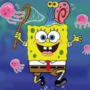 Github Wls2002 21f Cs209a Project - Mobile Nature Images for Desktop