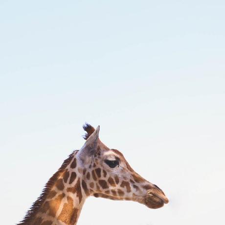 Mattwalshdev Matt Github - Best Minimal Backgrounds in 8K