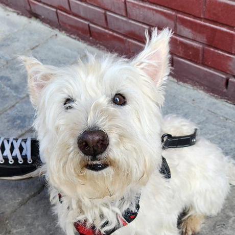 Zmaker Paolo Aliverti Github - Modern Mobile Sunset Patterns | Free Download