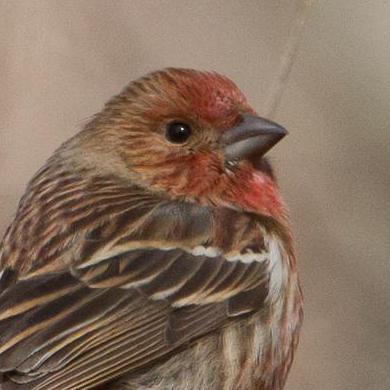 R Someya0618 Ryosuke Someya Github - Best Light Images in HD