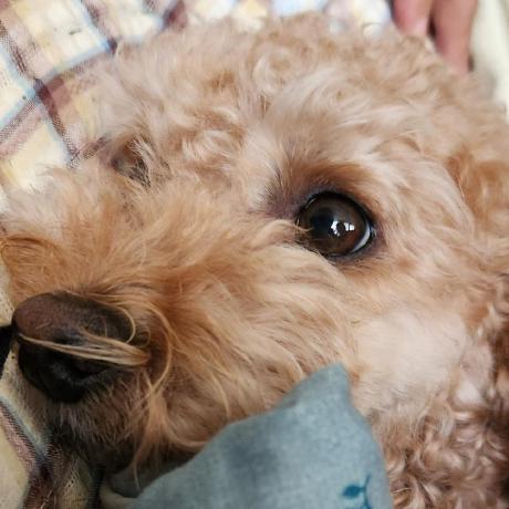 Flowaria Flowaria Twitter - Colorful Texture Collection - Ultra HD Quality